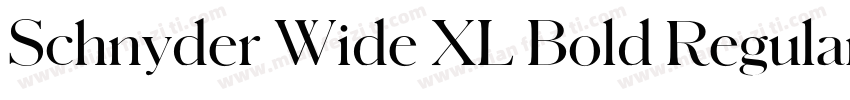 Schnyder Wide XL Bold Regular字体转换